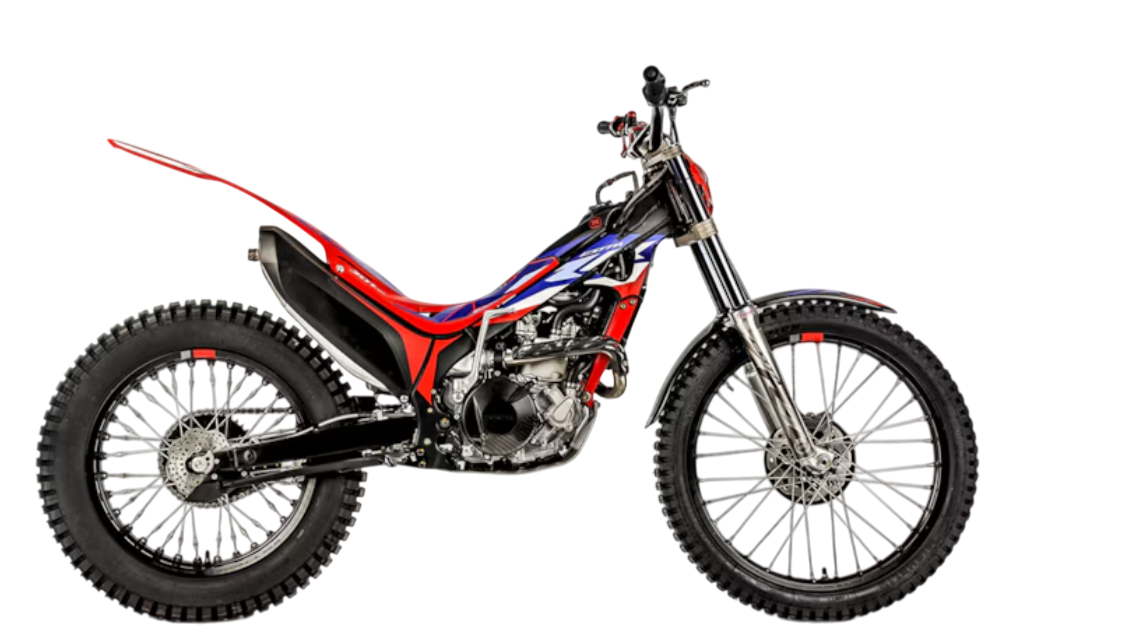 Model Image